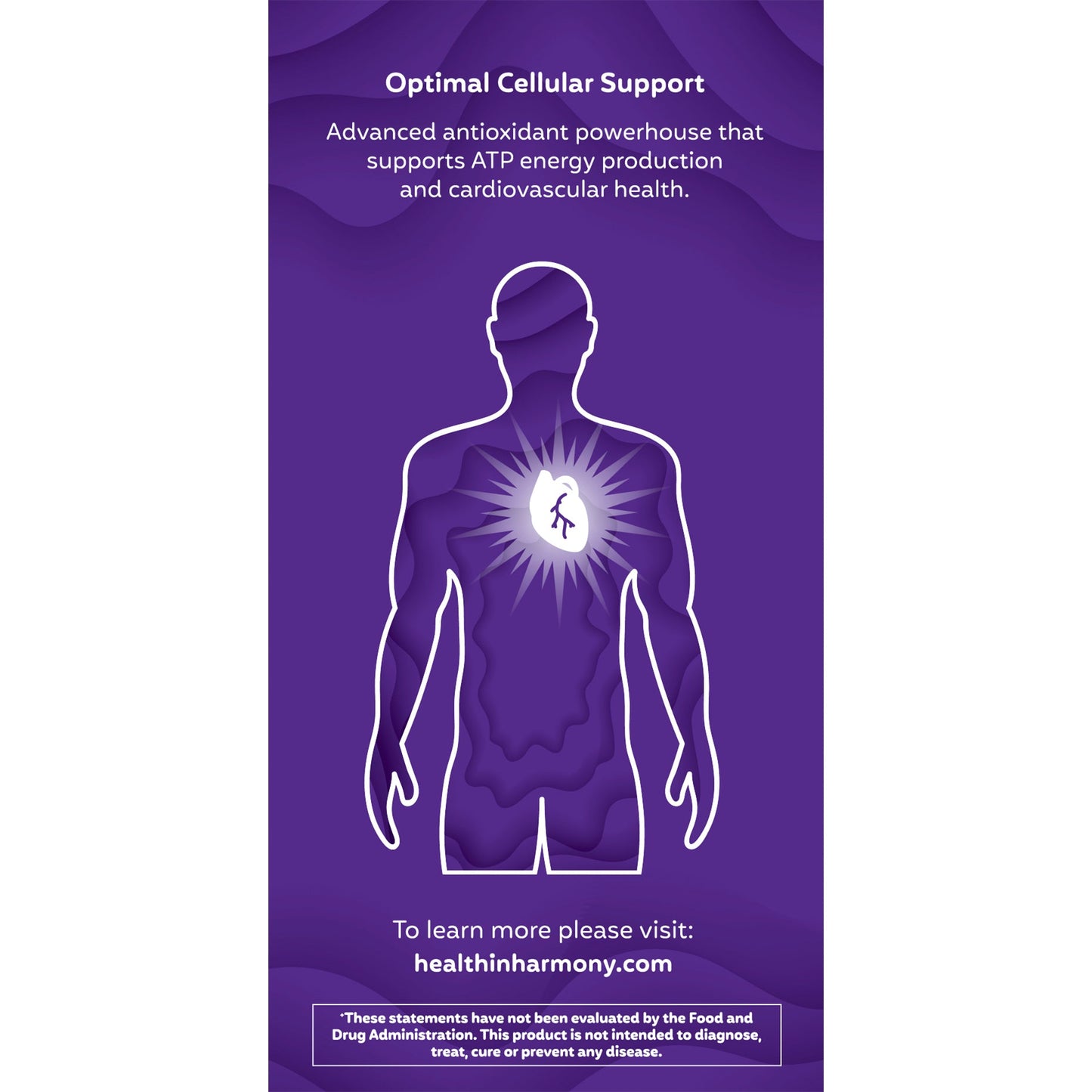 Everyday CELLULAR HEALTH - Verséa Diagnostics